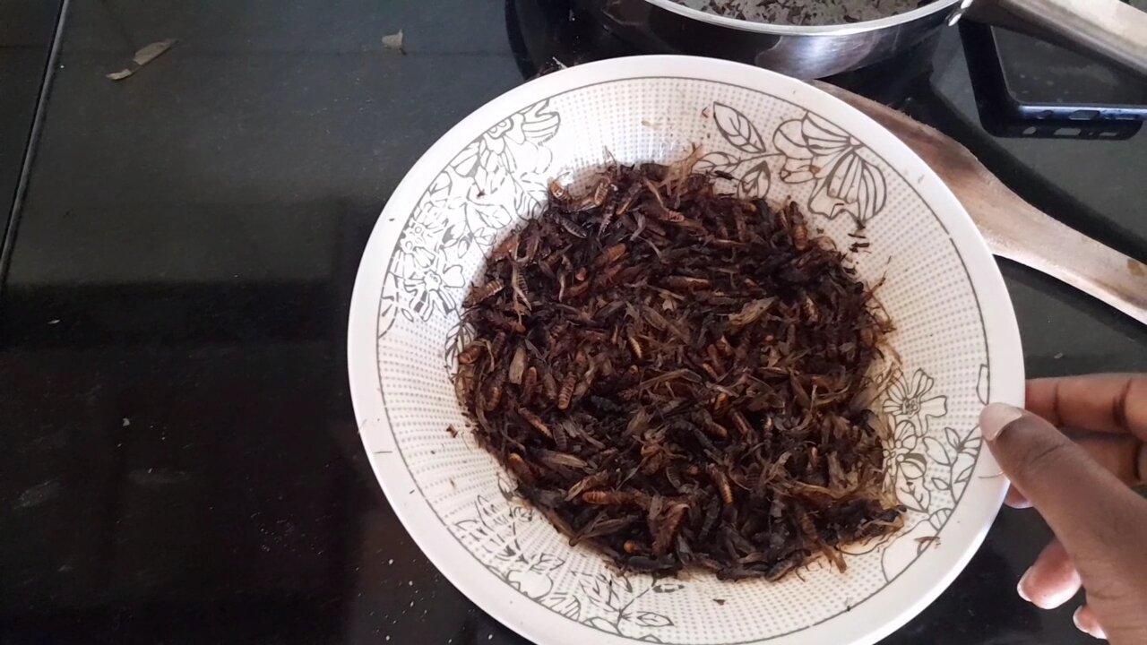 Flying termites|Malawian delicacies