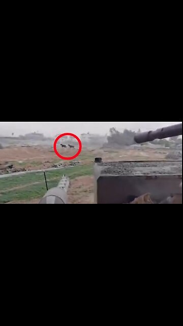 They Can't Stand Seeing Freedom Enjoyed By a Non-Jew