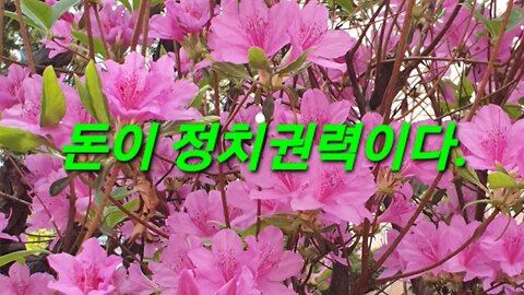 240413.. 새로운 기득권 사대부 양반이 된 종중종북세력들 그들의 머리 속은...노비 와 화석이 되어 간다.