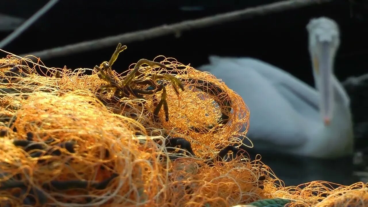 Fisherman Repairs Fishnet Fishing Lines