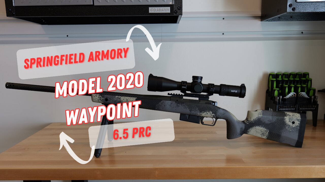 Springfield Armory Model 2020 Waypoint 6.5 PRC