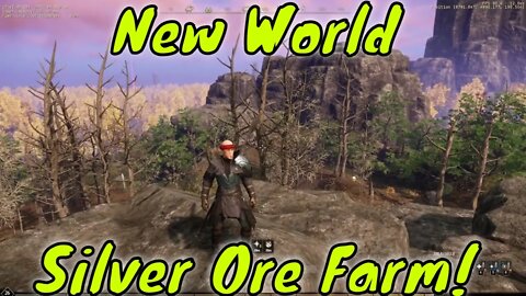 New World Best Silver Farm!