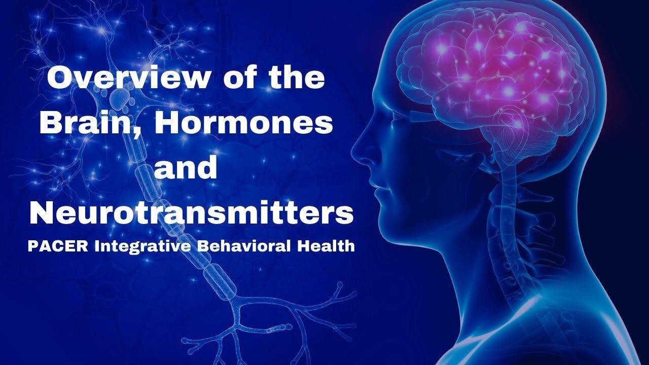 Overview of the Brain, Hormones and Neurotransmitters - dr Dawn-Elise Snipes