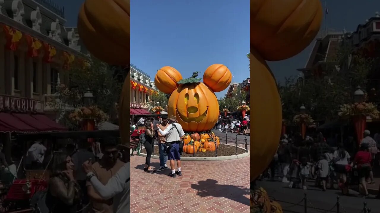 Who’s ready for Halloween 🎃