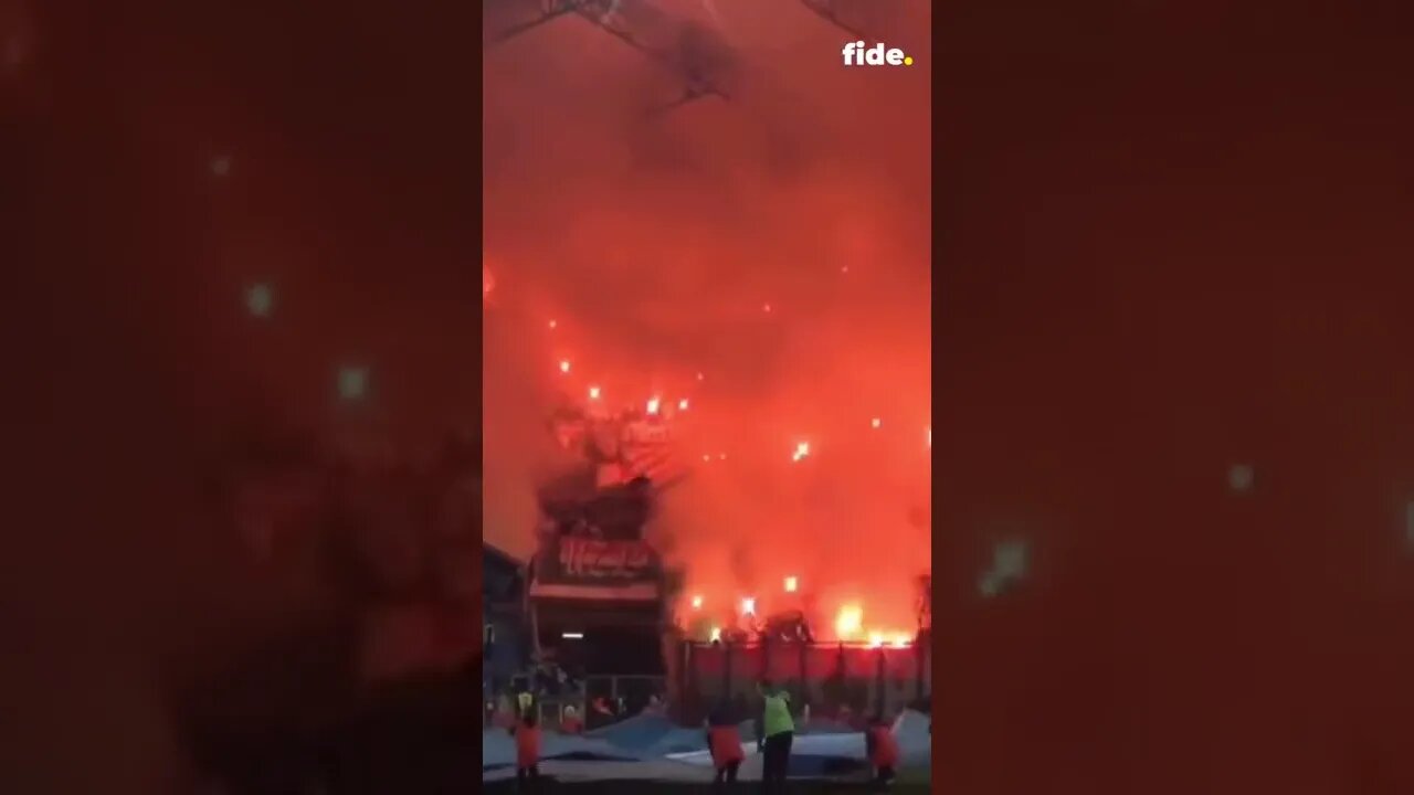 The best ULTRAS in the world - Part 2 🔥 #football #shorts