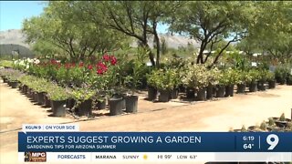 Experts suggest starting a garden to offset rising food costs