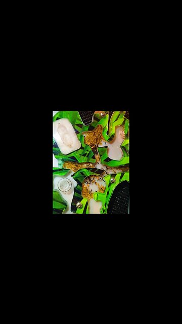 #AnToxist 📅 День 9 🪲 Как обстоят дела #Shorts @ParaToxist​