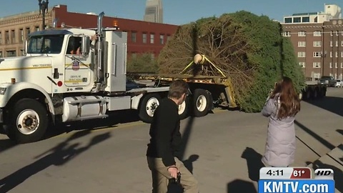 Durham Christmas Tree arrives