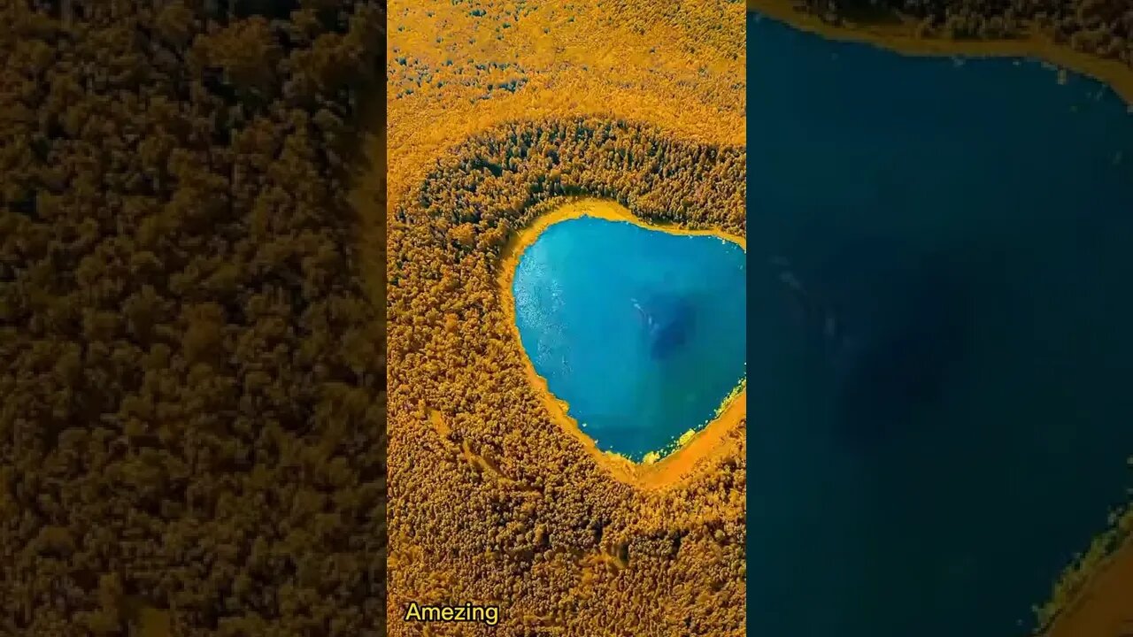 Amezing video