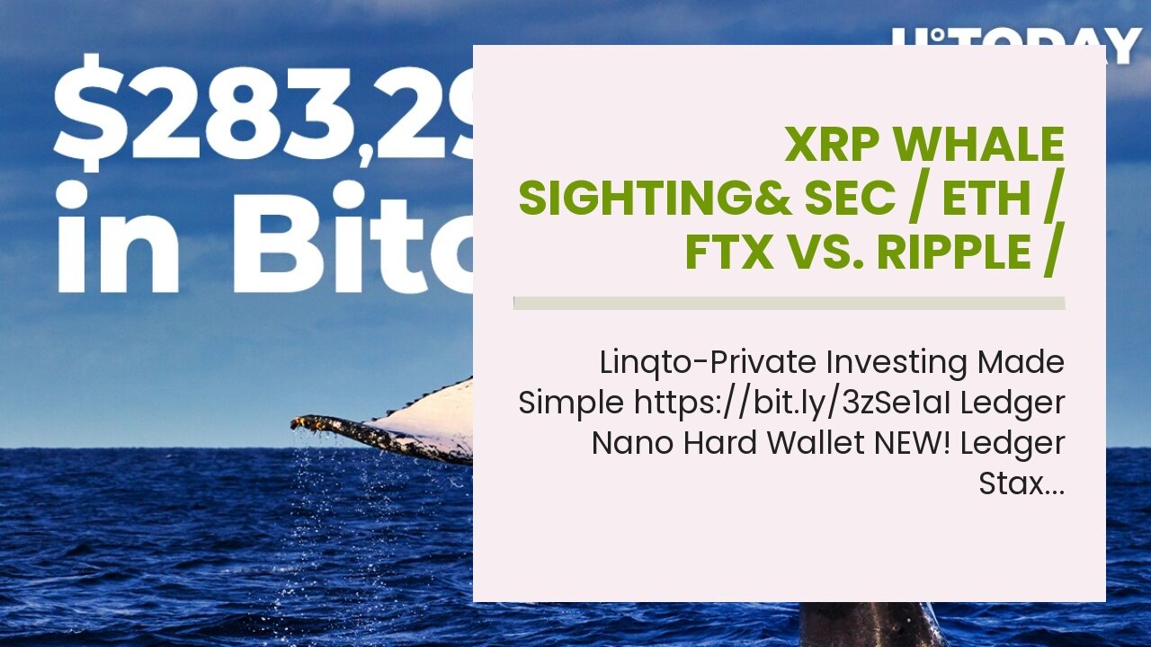 XRP Whale Sighting& SEC / ETH / FTX vs. Ripple / Global Investors