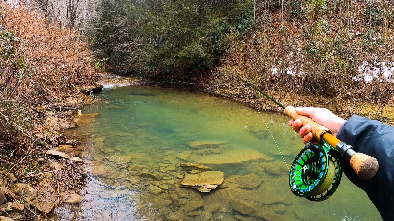 FLY FISHING for Brown Trout in SMALL CREEKS! || "Visiting an old Friend"