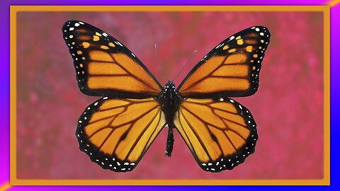 TRAUMA BASED MIND CONTROL - BY REESEREPORT