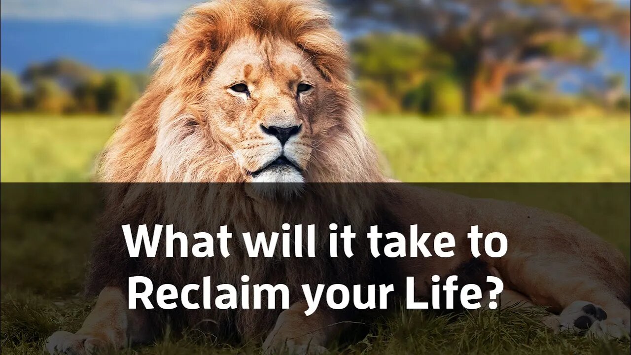 What will it take to Reclaim your Life?