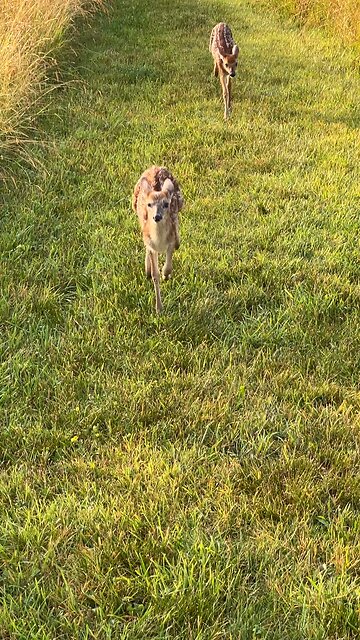 I’m not your momma. Lol