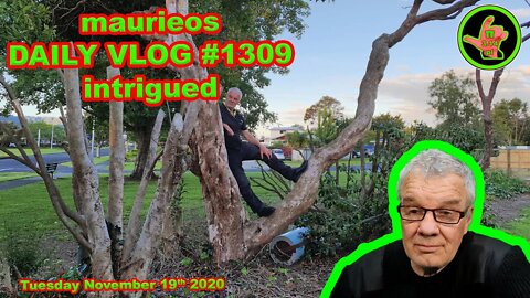 maurieos DAILY VLOG #1309 intrigued