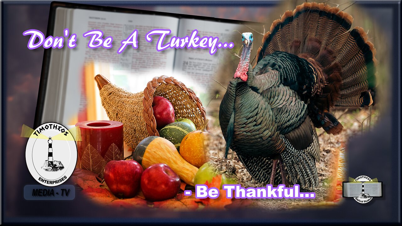 Don't Be A Turkey..... Be Thankful!