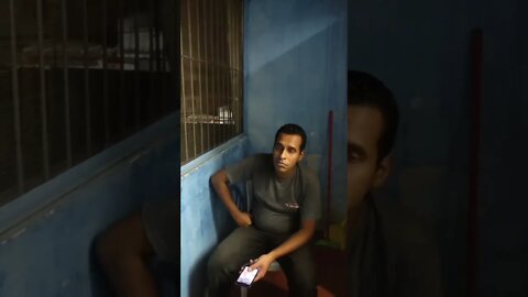 PERGUNTE AO SEU AMIGO E VEJA A REACAO DELE ( VIRAL ) ( MEME ) #shorts