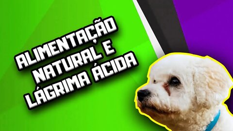 Alimentação Natural para Cães com Lágrima Ácida | Dr. Edgard Gomes