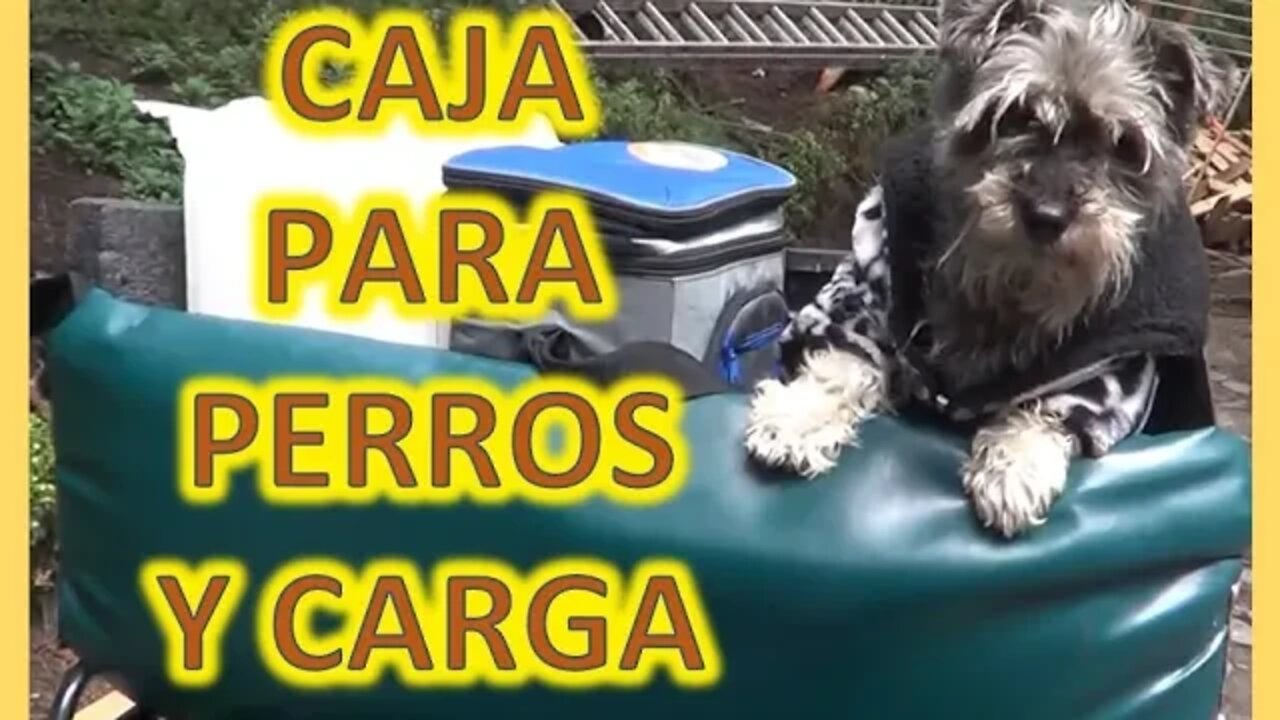 ATV 250cc ITALIKA - Fabricando Caja de Carga para Perros-