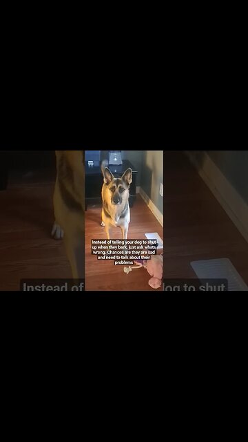 DO THIS! Instead of Yelling at Your Dog