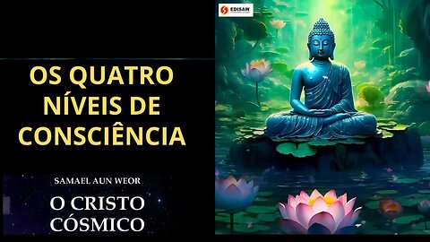 OS QUATROS NÍVEIS DE CONSCIÊNCIA