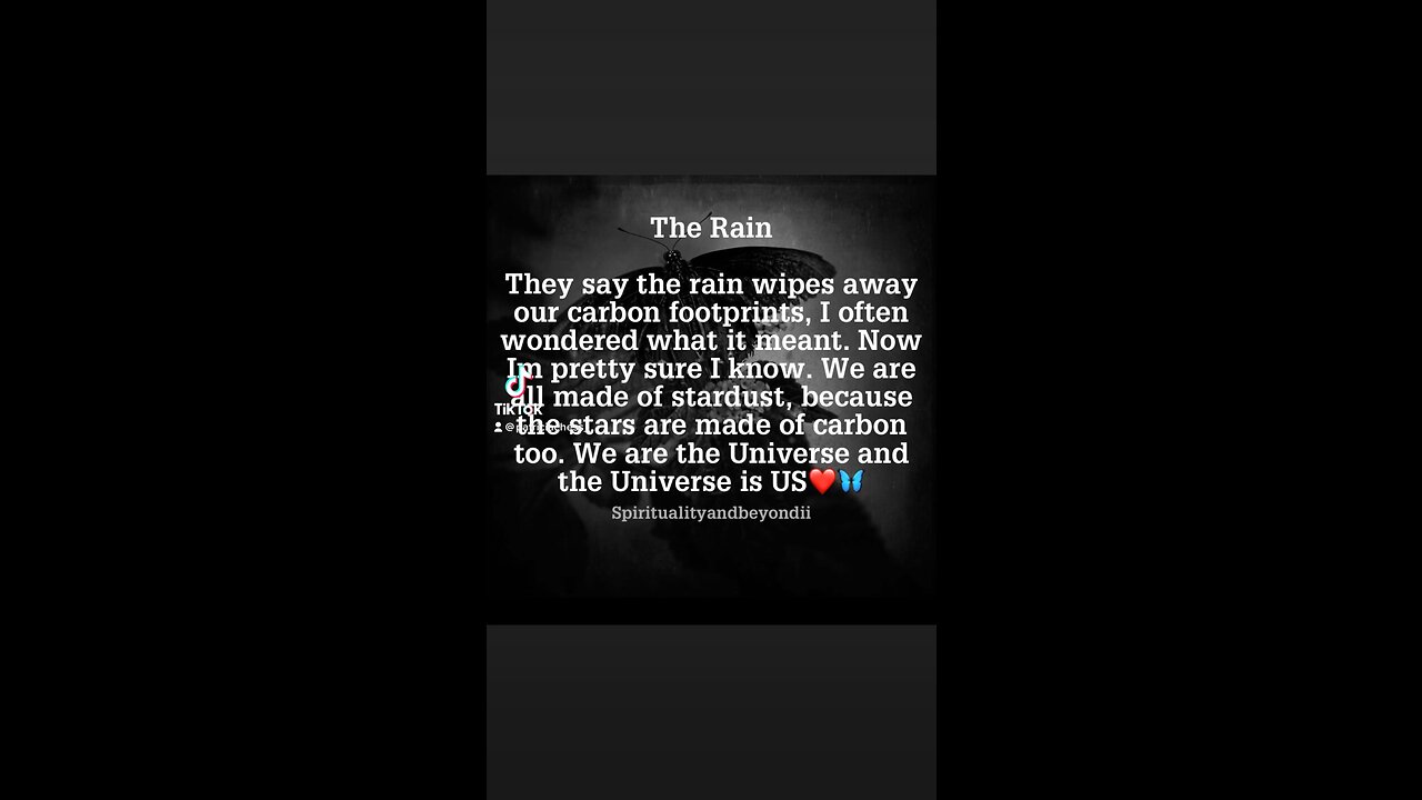 The Rain
