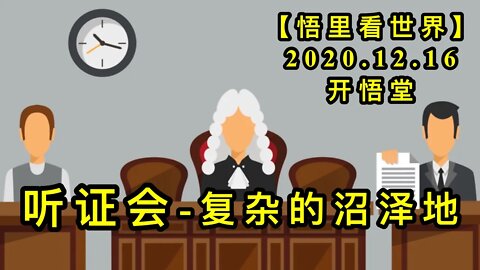 听证会-复杂的沼泽地【悟里看世界】KWT531 201216-07 tzh