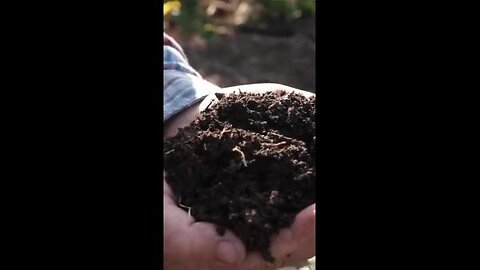 Mollie Engelhart - Are Organic Vegetables Really Healthier?