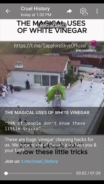 Documentary: White Vinegar