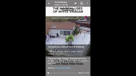 Documentary: White Vinegar