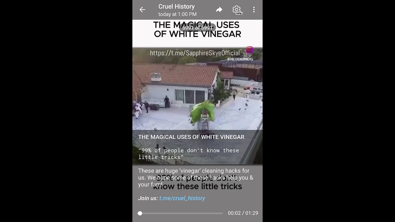 Documentary: White Vinegar