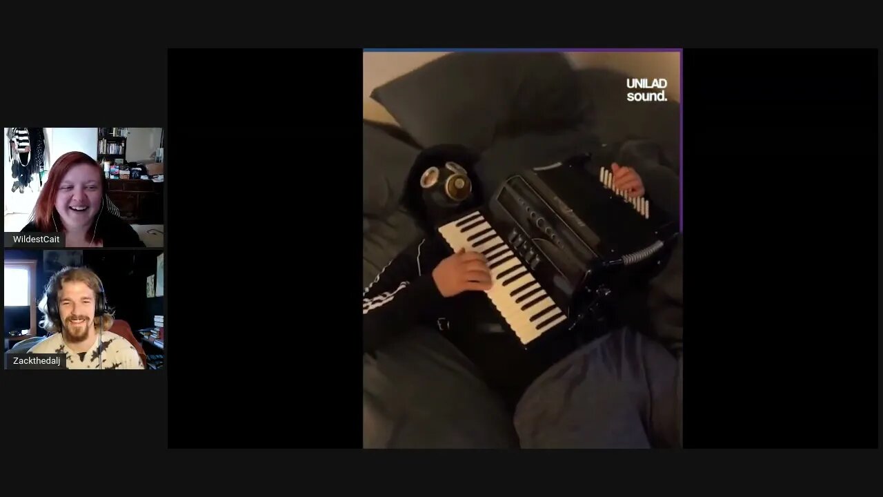 REEEaction! Unilad - Accordion related nonsense