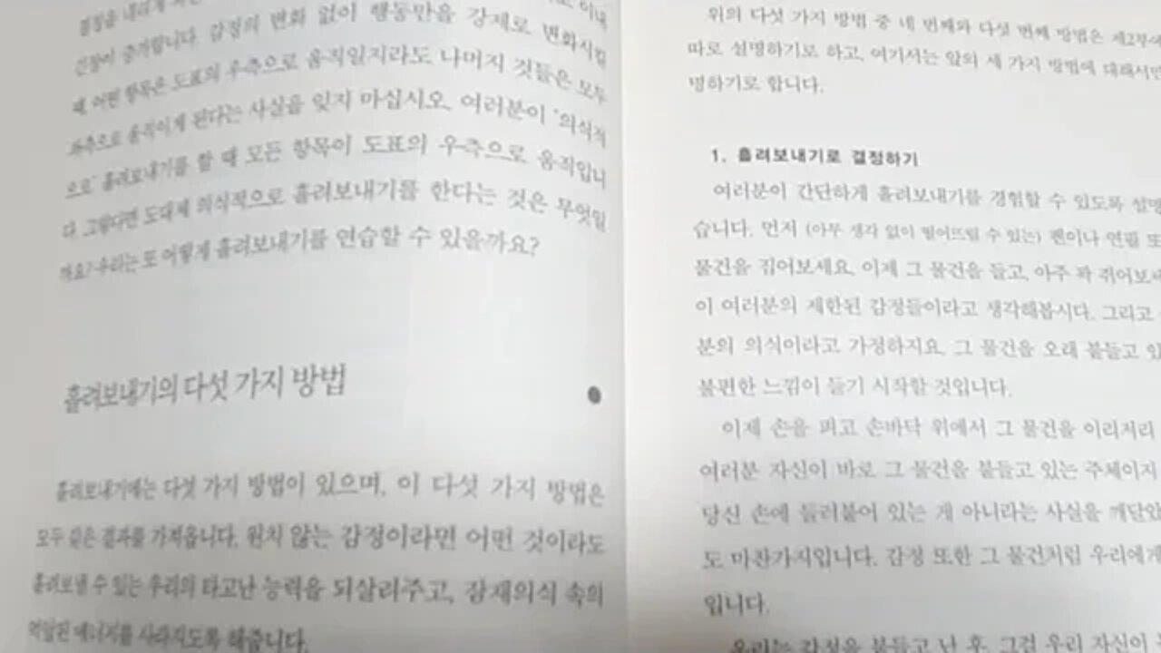 흘려보내기, 5가지 방법, 감정 환영, 감정의 중심으로 다이빙, 양쪽 모두 포용, 세도나 메소드, 헤일 도스킨, 책읽기, 북튜버
