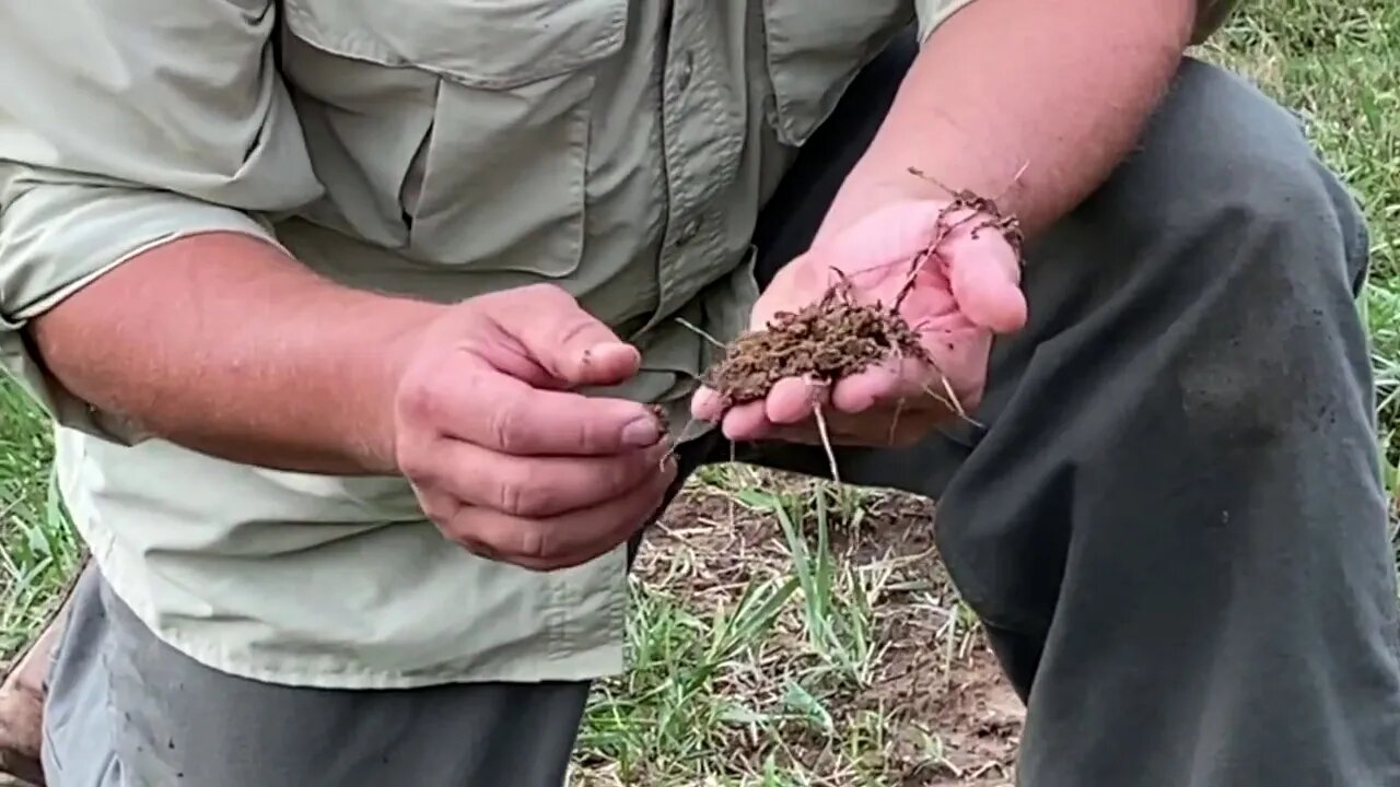 Farm Tour Pastures