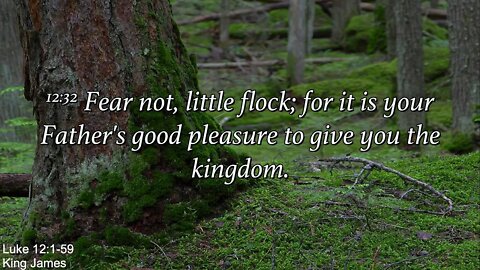 Sunday Morning, August 28th - Precious Words