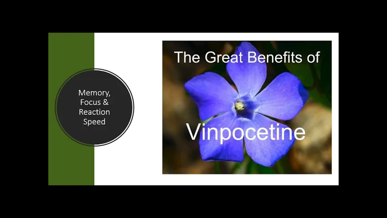 Vinpocetine Benefits - Brain Circulation & Enhancement Of Memory