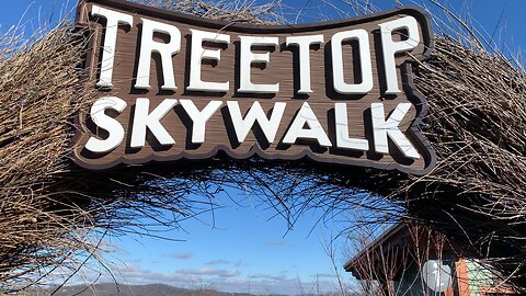 Treetop Skywalk at Anakeesta