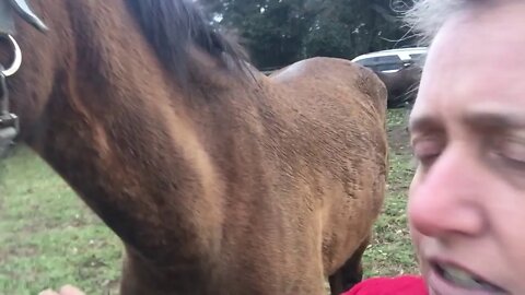 Trying to take selfies of Tuppy and I and failing to show how tall she is.