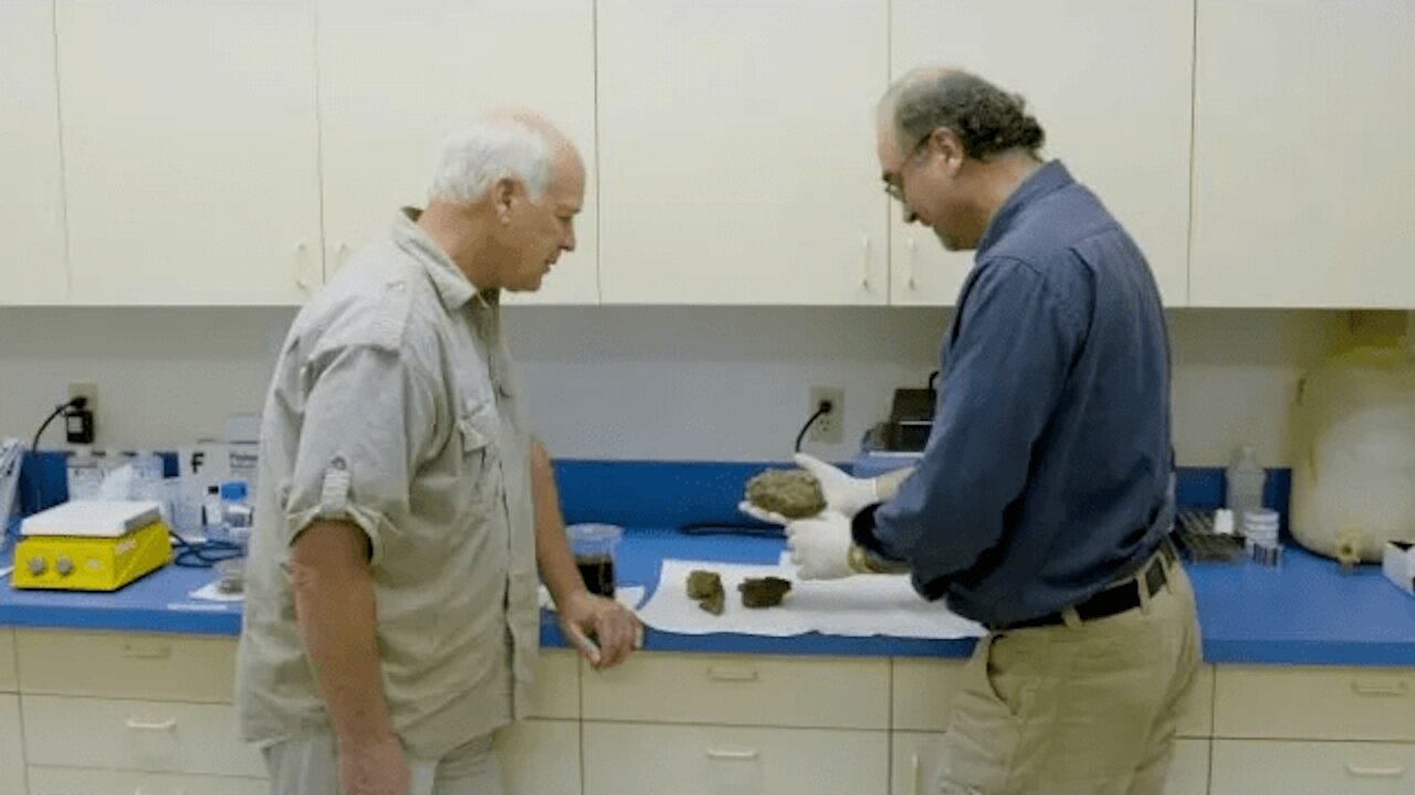 Why Do We Find Soft Tissue in Dinosaur Bones That Are "Millions of Years Old"? - Dr. Kevin Anderson