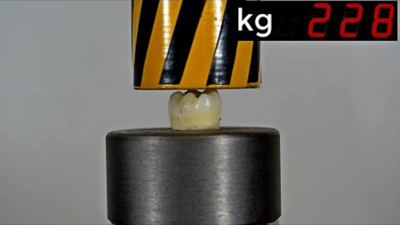 HYDRAULIC PRESS VS HUMAN TOOTH, HOW STRONG IS THE TOOTH