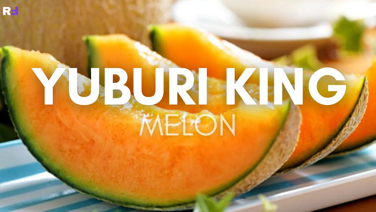 From Japan With Love: Dive into the Irresistible World of Yubari King Melon!