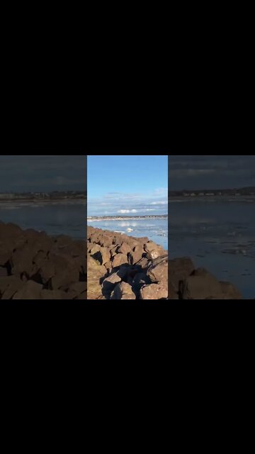 Winter is coming to an end