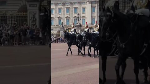 blues and royals pass by buckingham palace #buckinghampalace