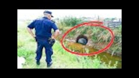 Man Buys New House Then His Gut Tells Him To Dig In His Backyard