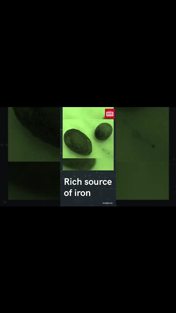 WHY GREEN CHILLIES ARE GOOD FOR YOUR HEALTH #shorts