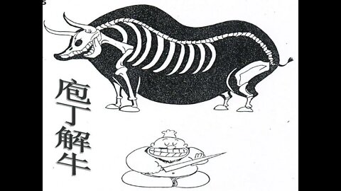 장자, 양생주, 포정이랑 도살업자, 요리사와, 튼살 전문, 진료한의사, St침, 자향미한의원