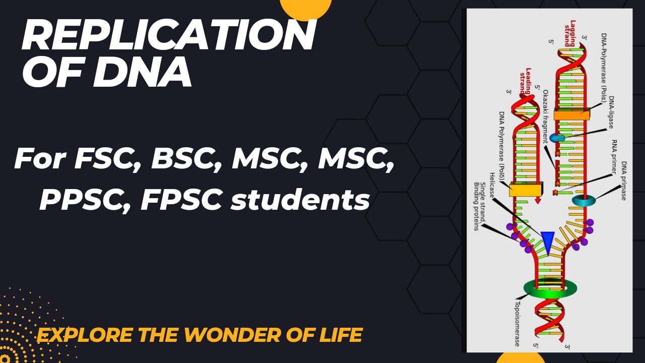 DNA replication | Replication of DNA for FSC BSC MSC students