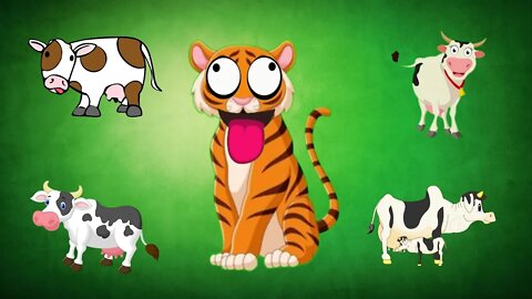 Cow Tiger Funny Video @MK Billu