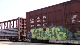 CN 5761, GECX 2038 & CN 5789 Engines - TRAIN 397 Manifest Westbound In Ontario