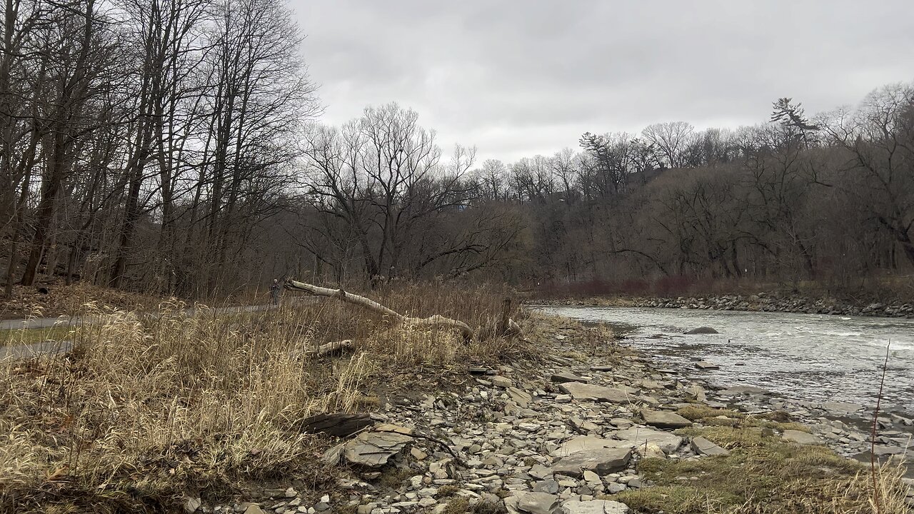 Trail walking south alongside Humber River